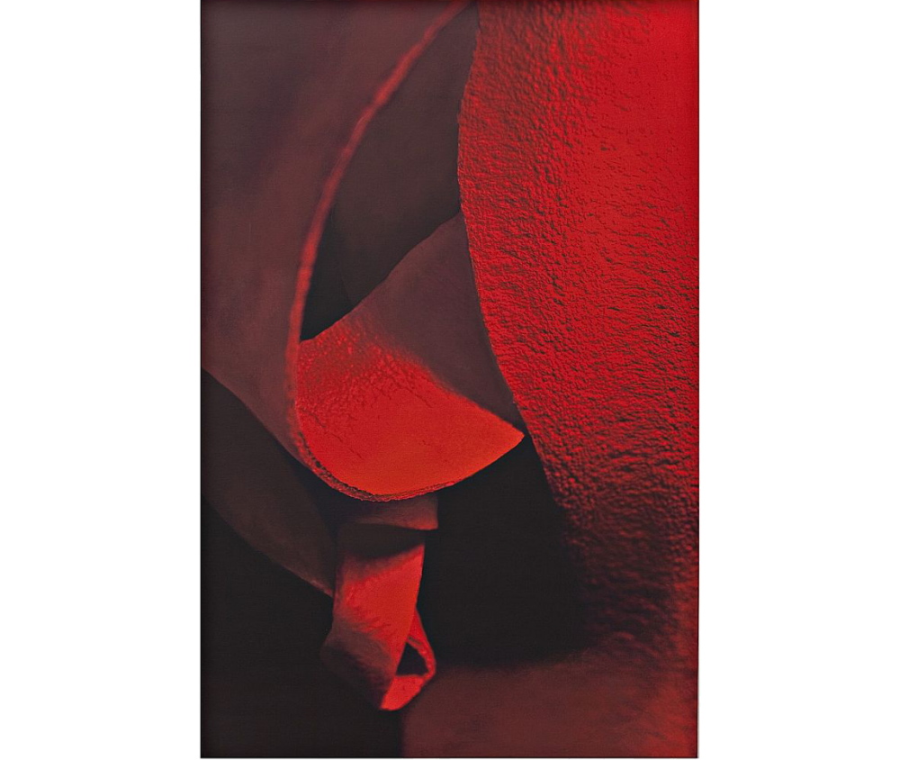 Gersony: Scarlet Dance series  Acrylic on Canvas 1.00 X 70 cm 2013