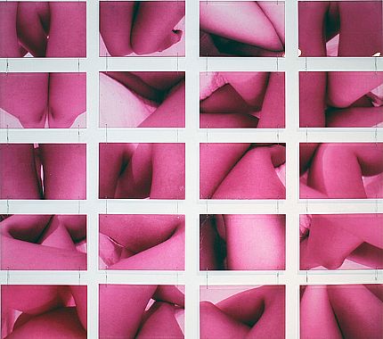 Gersony: 20 pieces of 0.30 x 0.20m - Printing on acrylic and steel cable - 2007